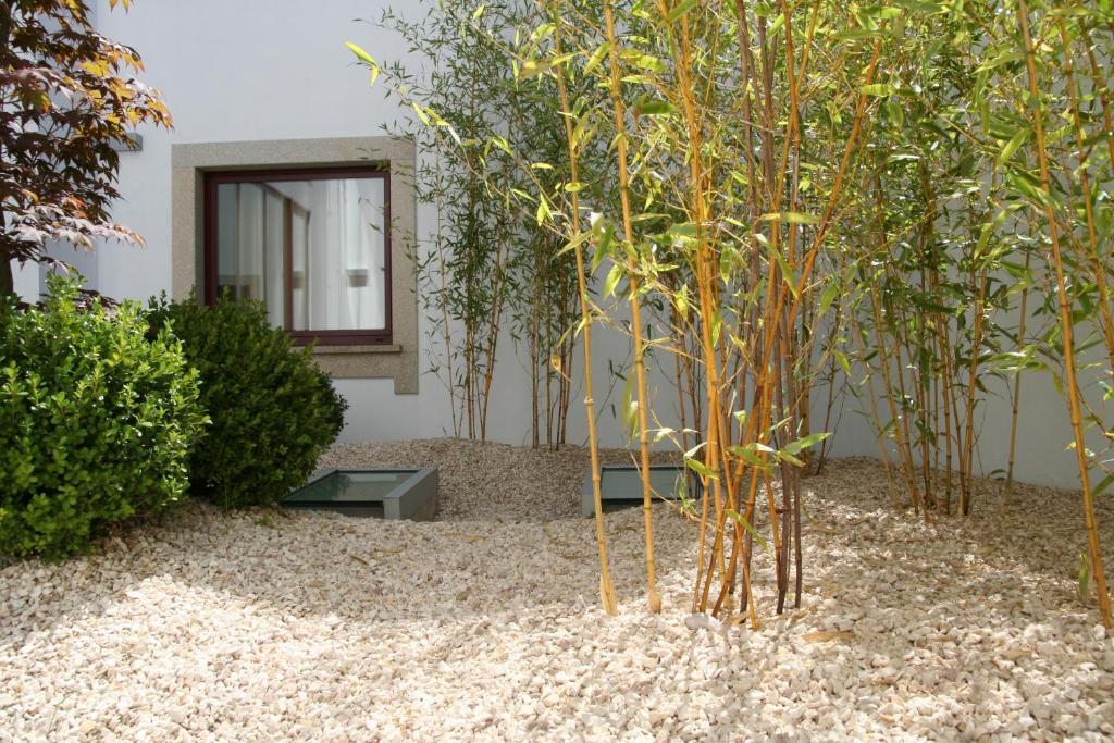 Santo Thyrso Hotel Santo Tirso Zewnętrze zdjęcie